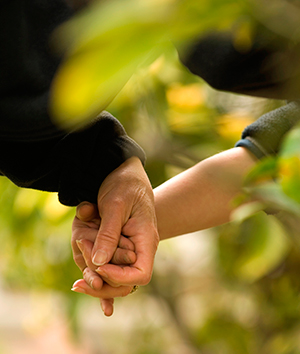 Parent and child holding hands